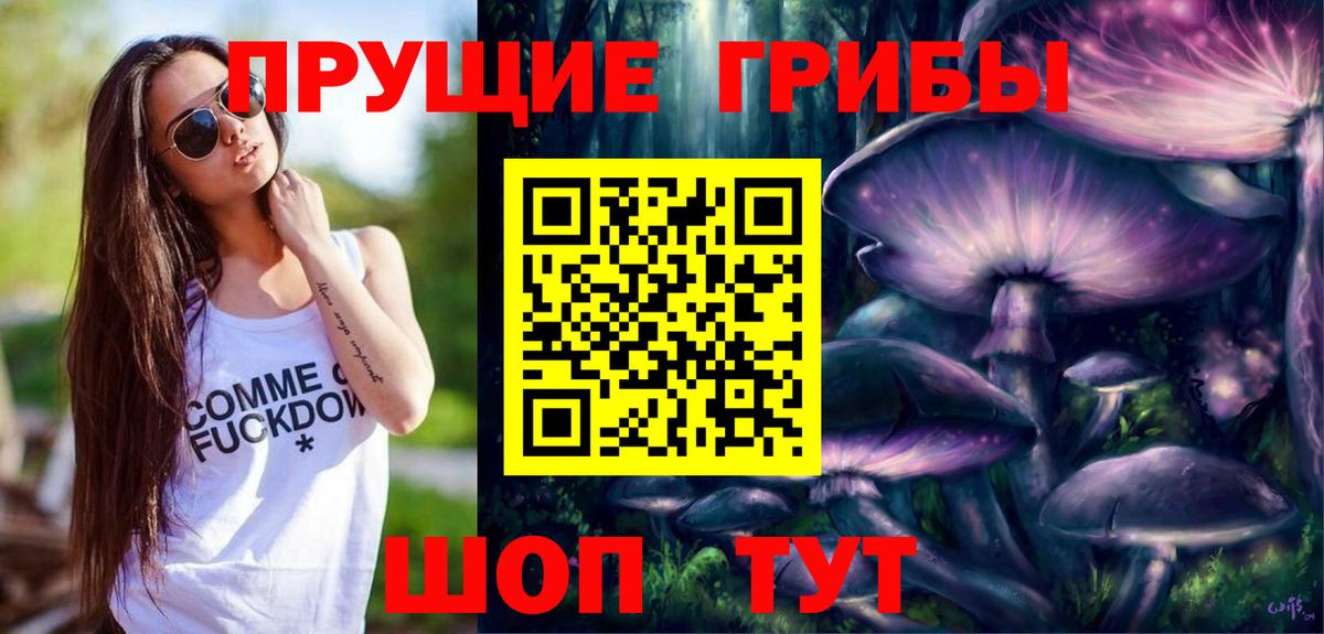 Псилоцибиновые грибы GOLDEN TEACHER Чехов